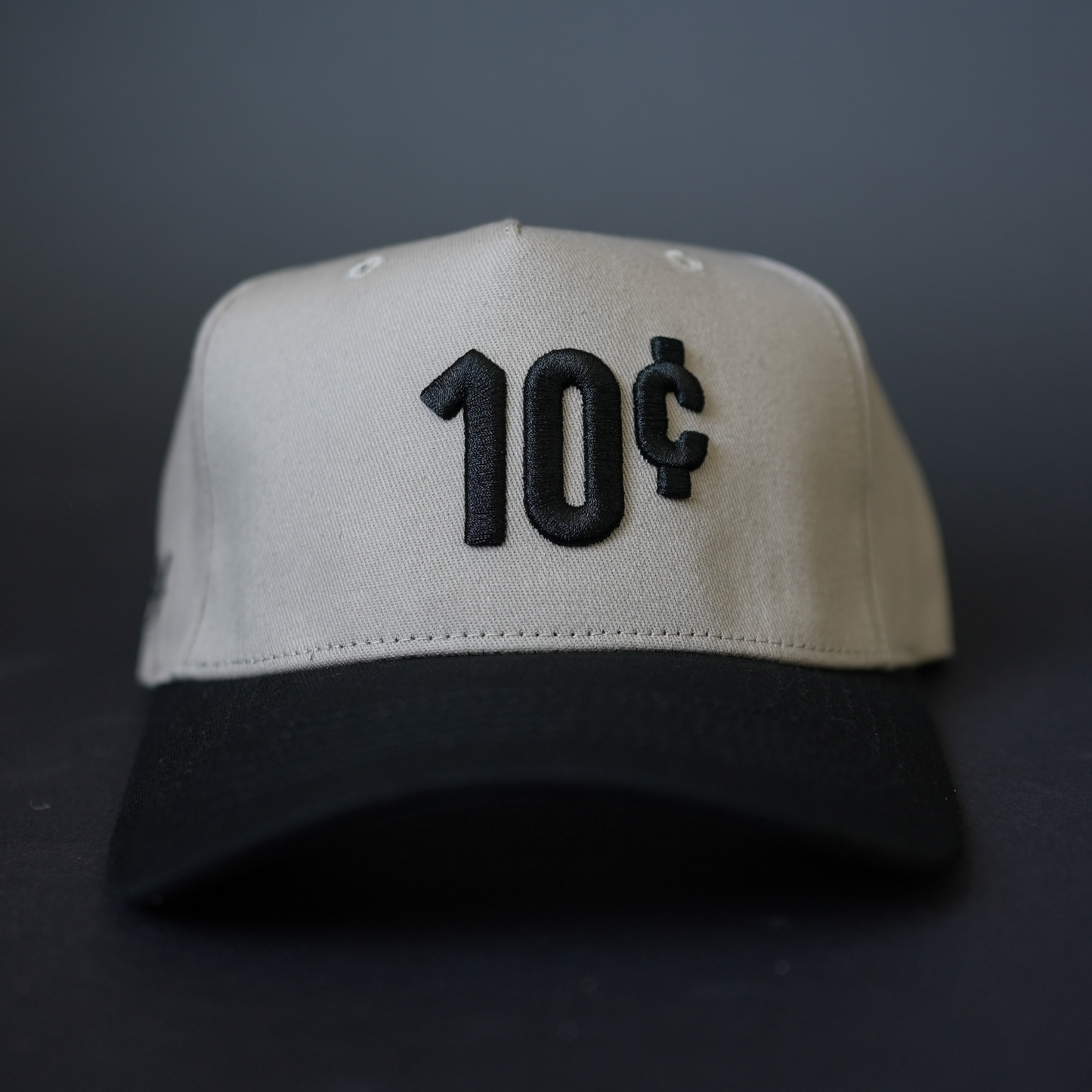 10 Cents Hat