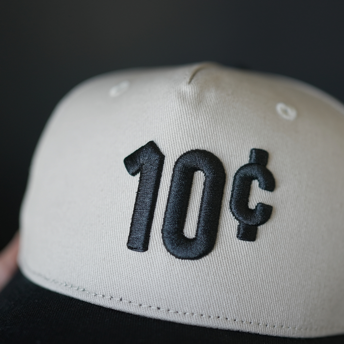 10 Cents Hat